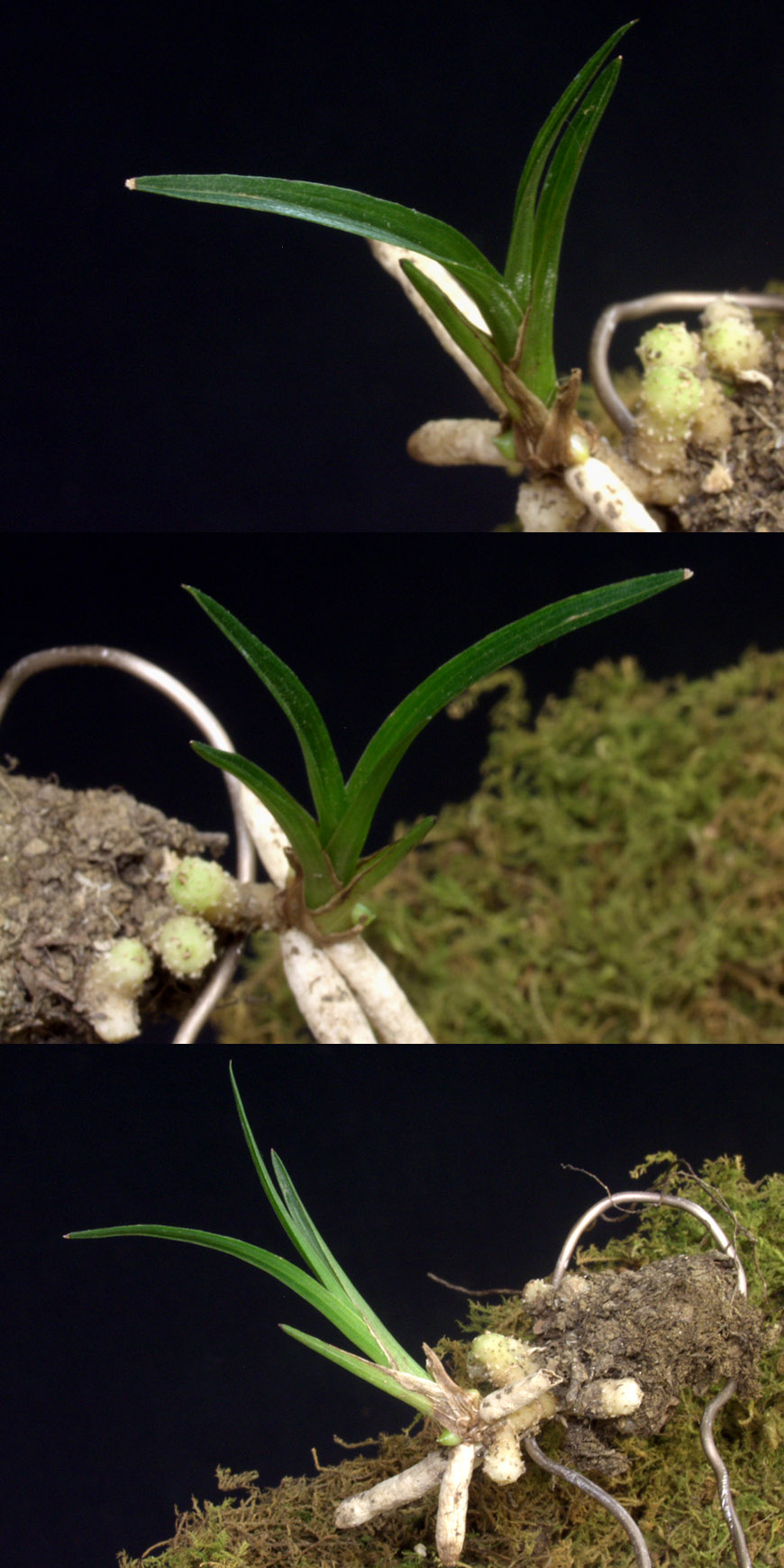 ������ ū������ �� �� �ֽ��ϴ�.