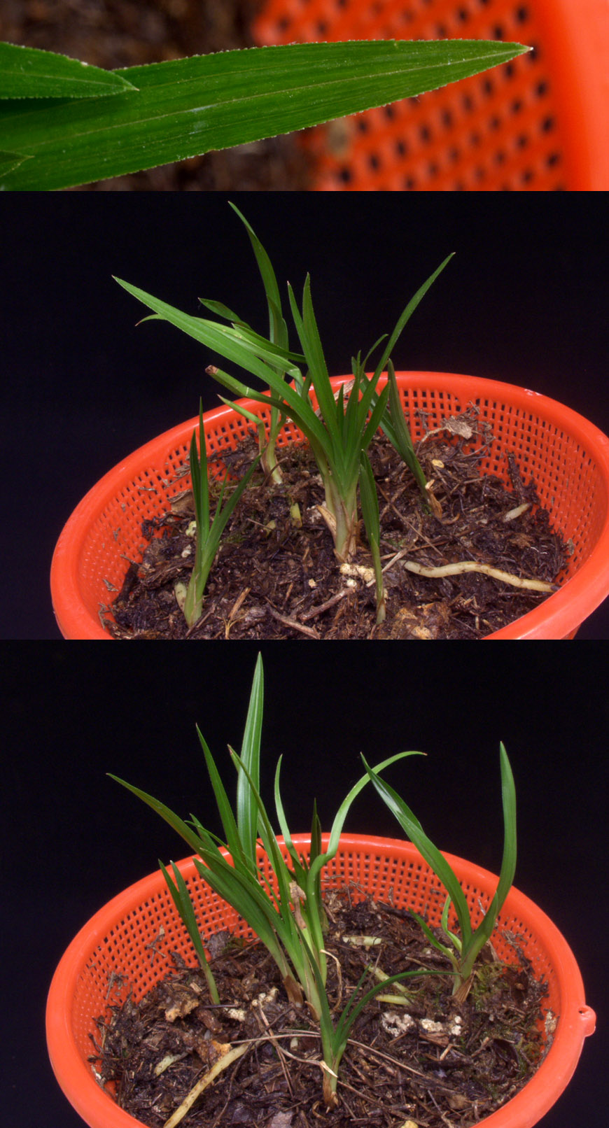 ������ ū������ �� �� �ֽ��ϴ�.