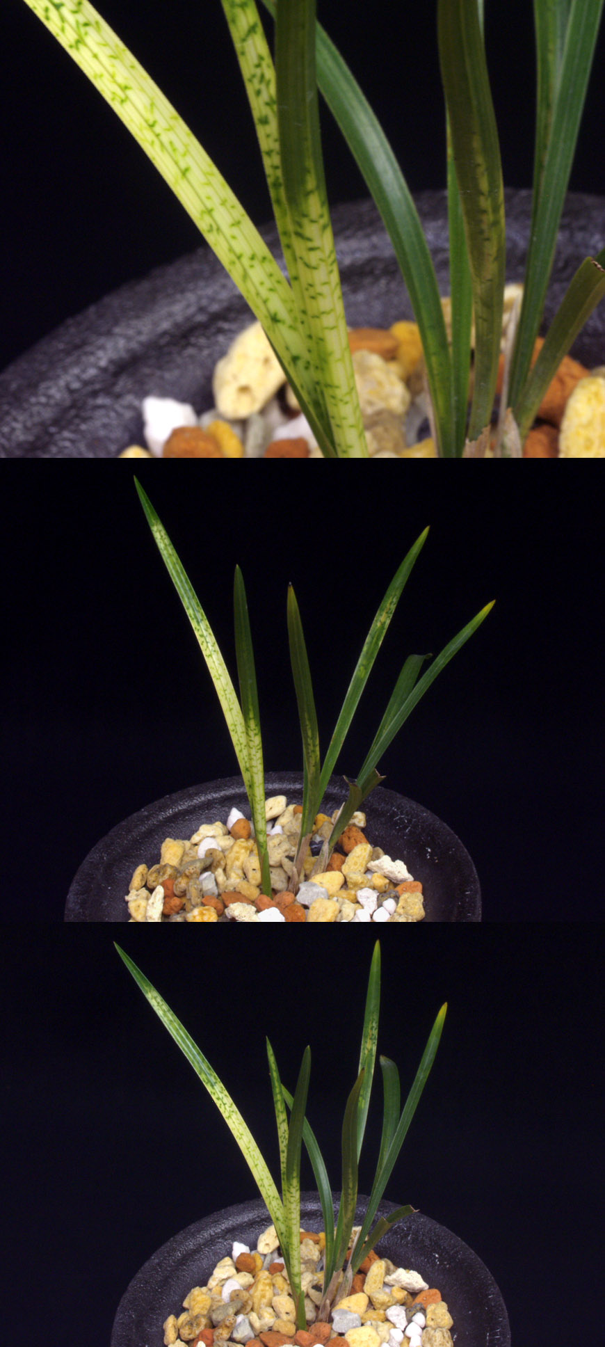 ������ ū������ �� �� �ֽ��ϴ�.