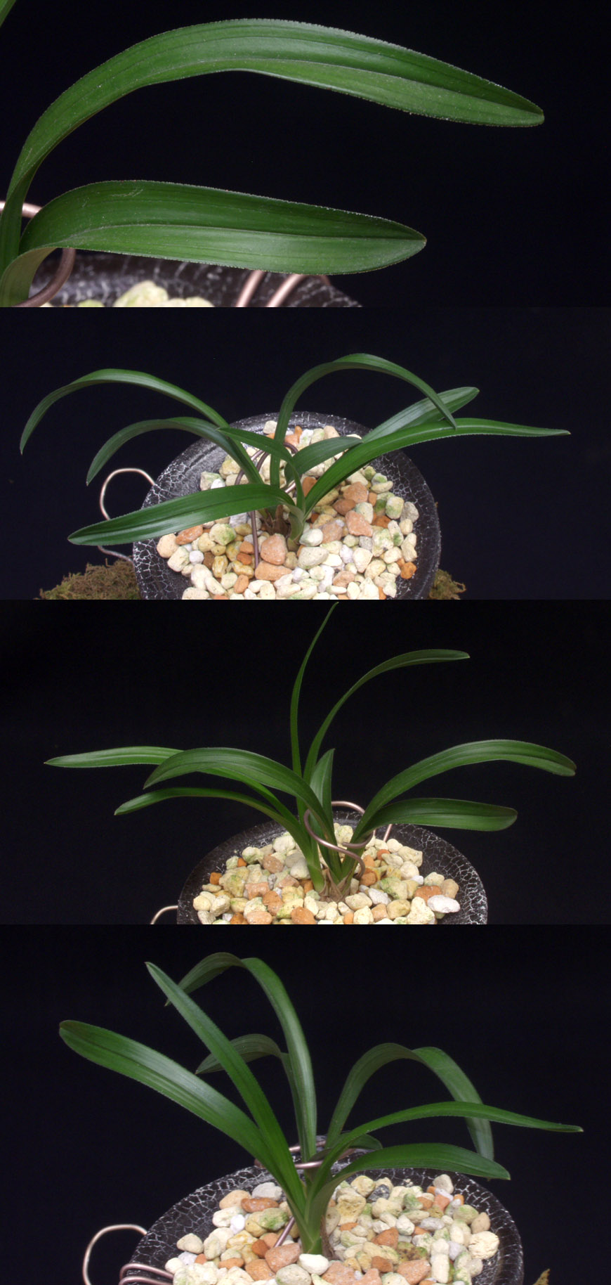 ������ ū������ �� �� �ֽ��ϴ�.