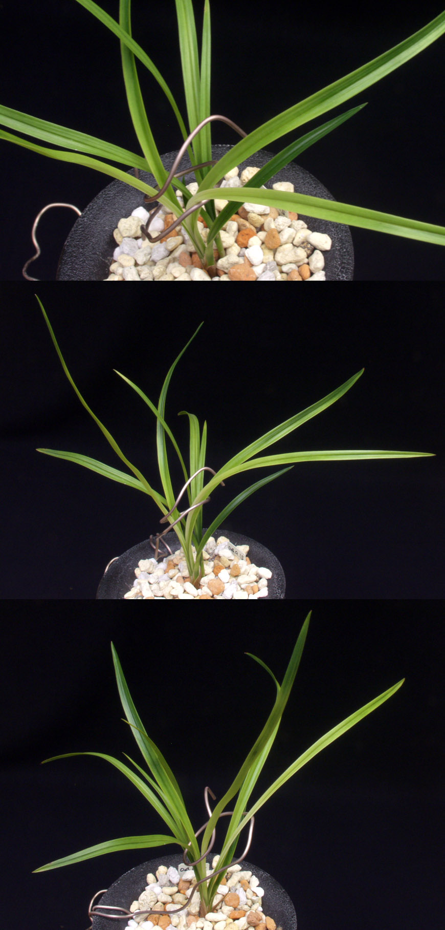 ������ ū������ �� �� �ֽ��ϴ�.