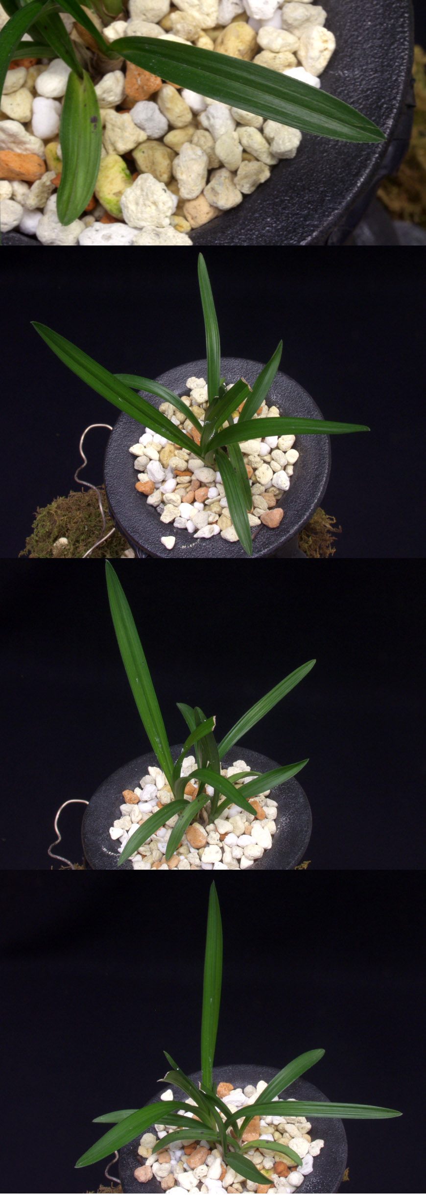 ������ ū������ �� �� �ֽ��ϴ�.