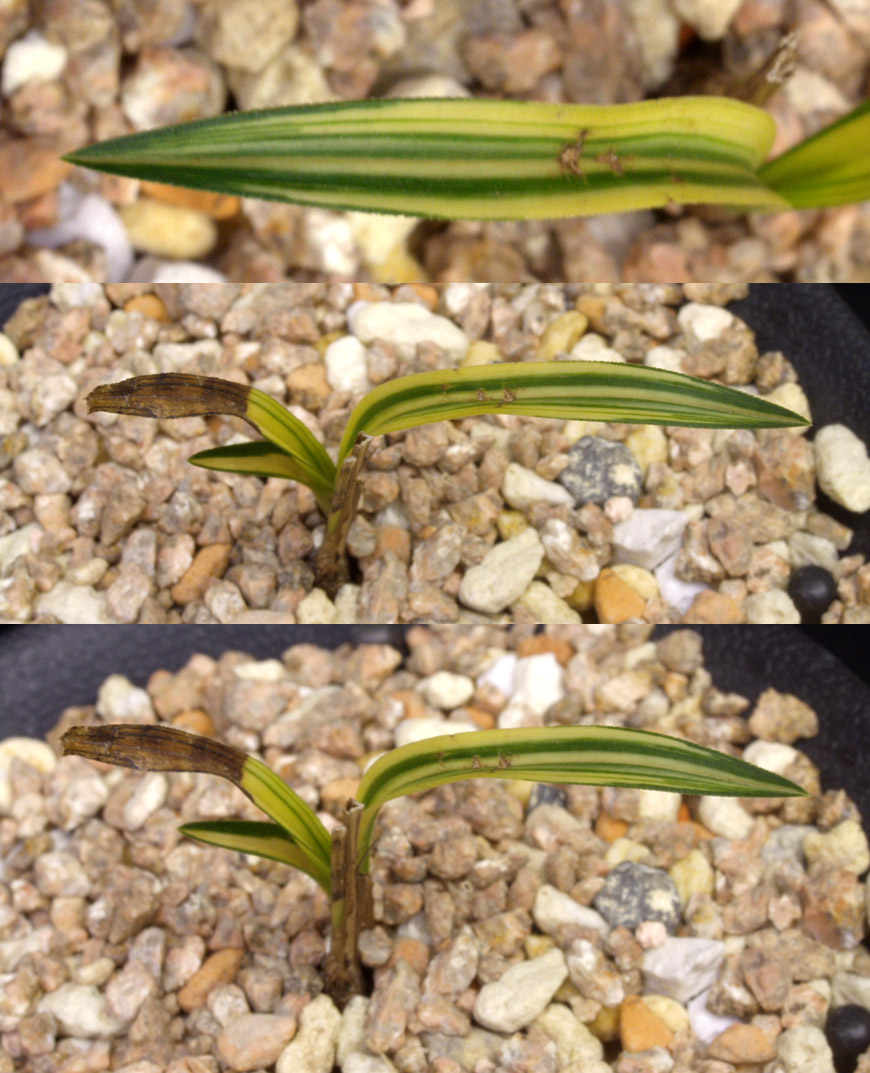 ������ ū������ �� �� �ֽ��ϴ�.