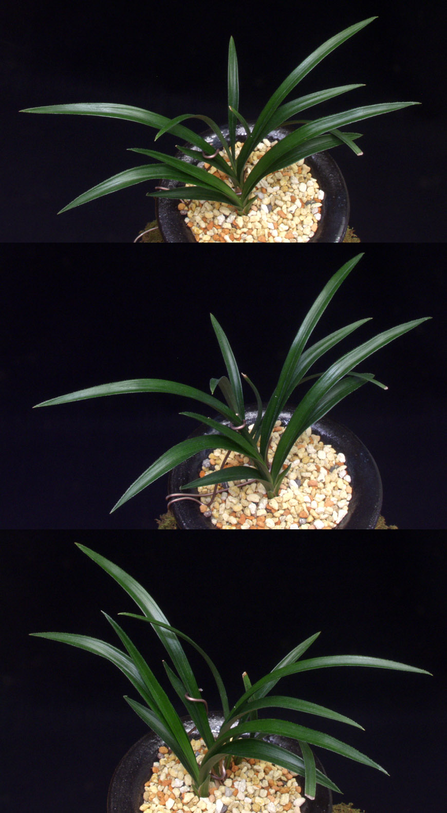 ������ ū������ �� �� �ֽ��ϴ�.