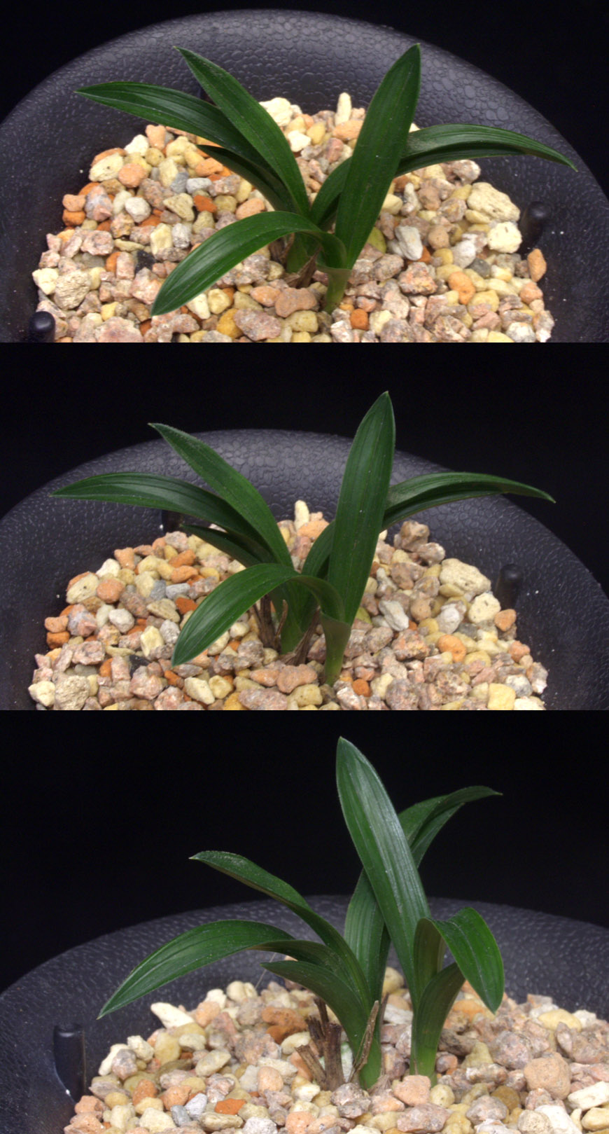 ������ ū������ �� �� �ֽ��ϴ�.