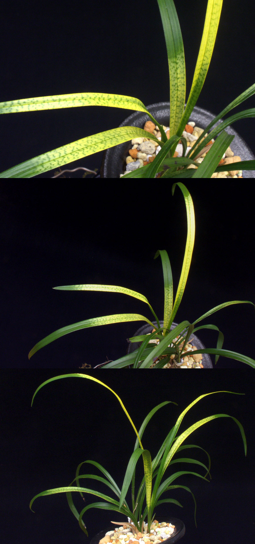 ������ ū������ �� �� �ֽ��ϴ�.