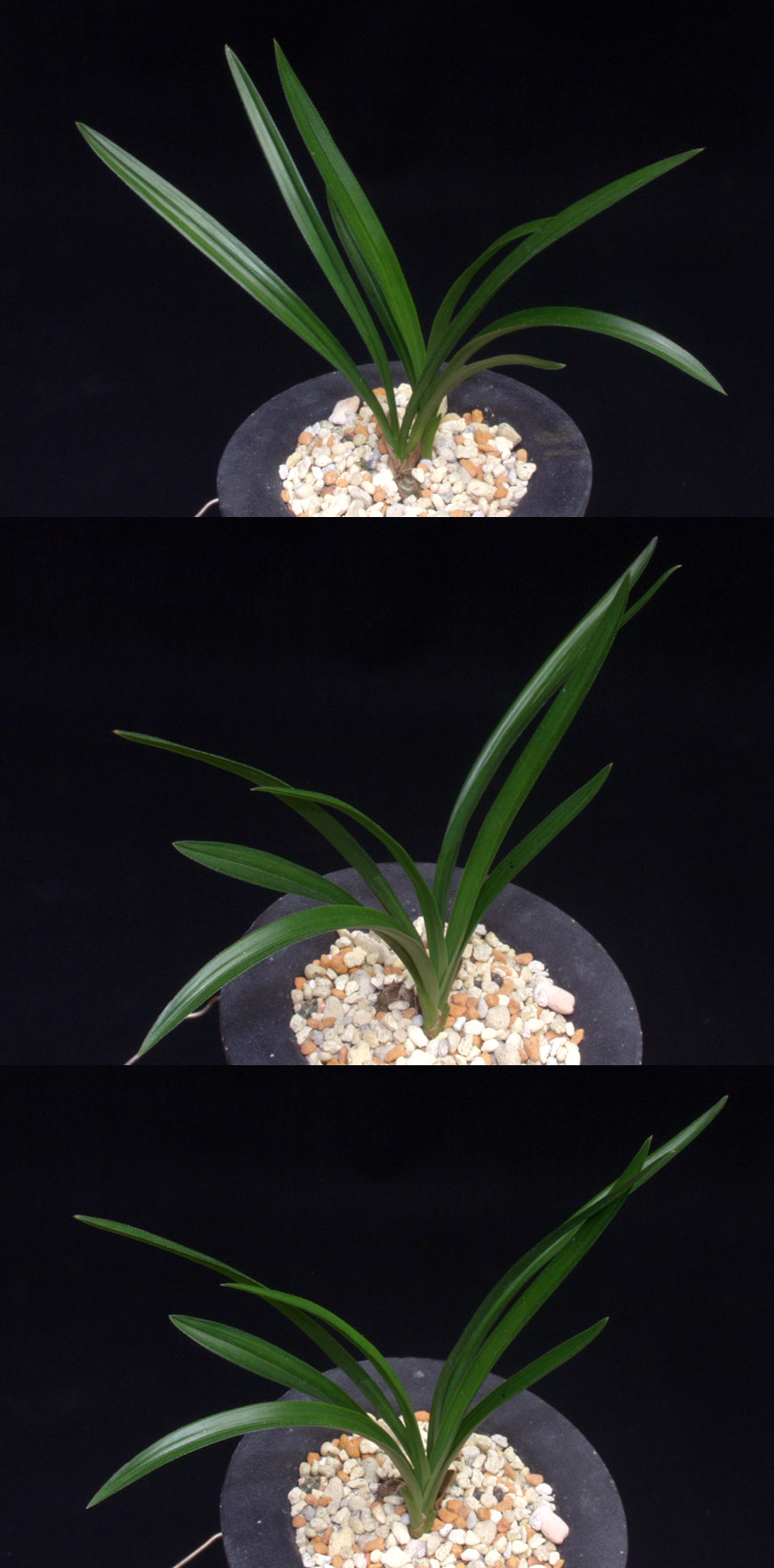 ������ ū������ �� �� �ֽ��ϴ�.