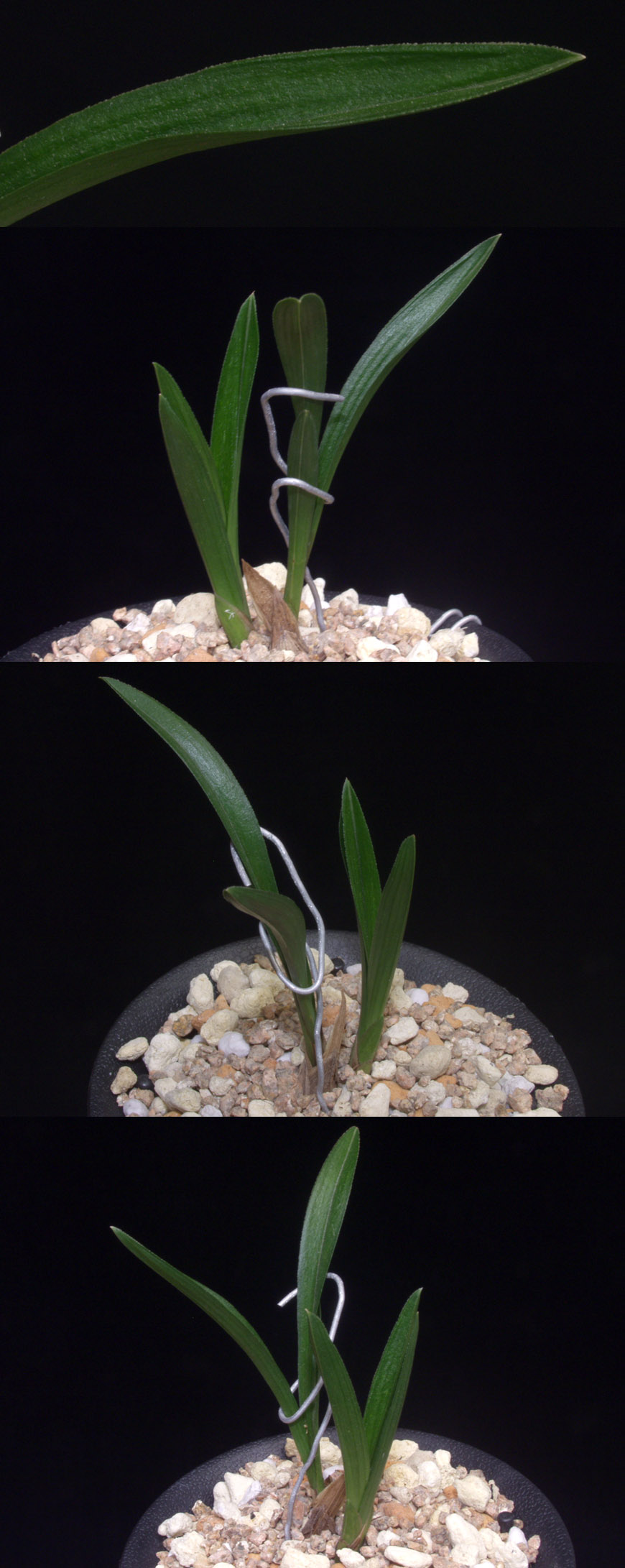 ������ ū������ �� �� �ֽ��ϴ�.