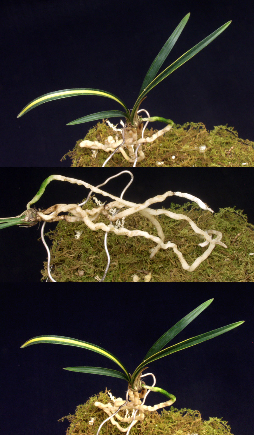 ������ ū������ �� �� �ֽ��ϴ�.