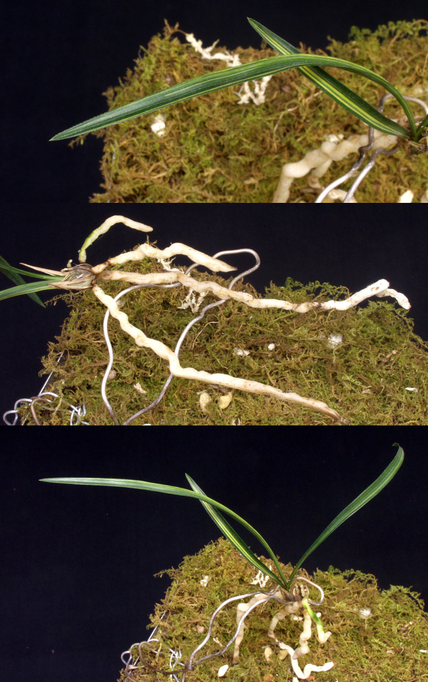 ������ ū������ �� �� �ֽ��ϴ�.