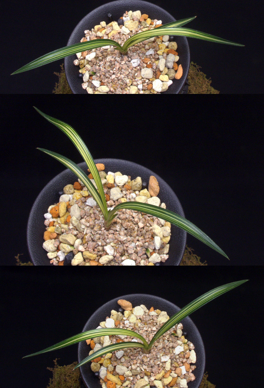 ������ ū������ �� �� �ֽ��ϴ�.