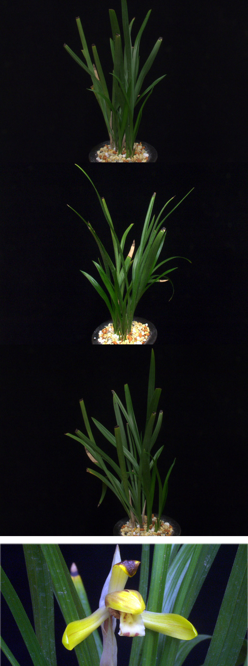 ������ ū������ �� �� �ֽ��ϴ�.