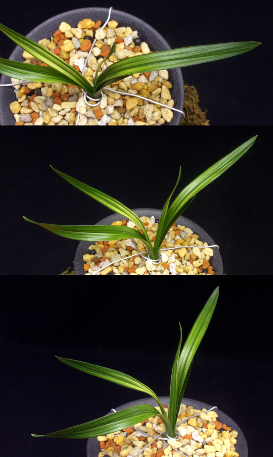 ������ ū������ �� �� �ֽ��ϴ�.