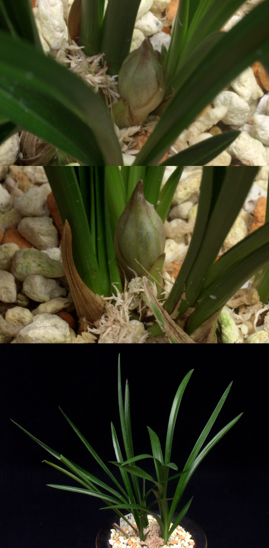 ������ ū������ �� �� �ֽ��ϴ�.