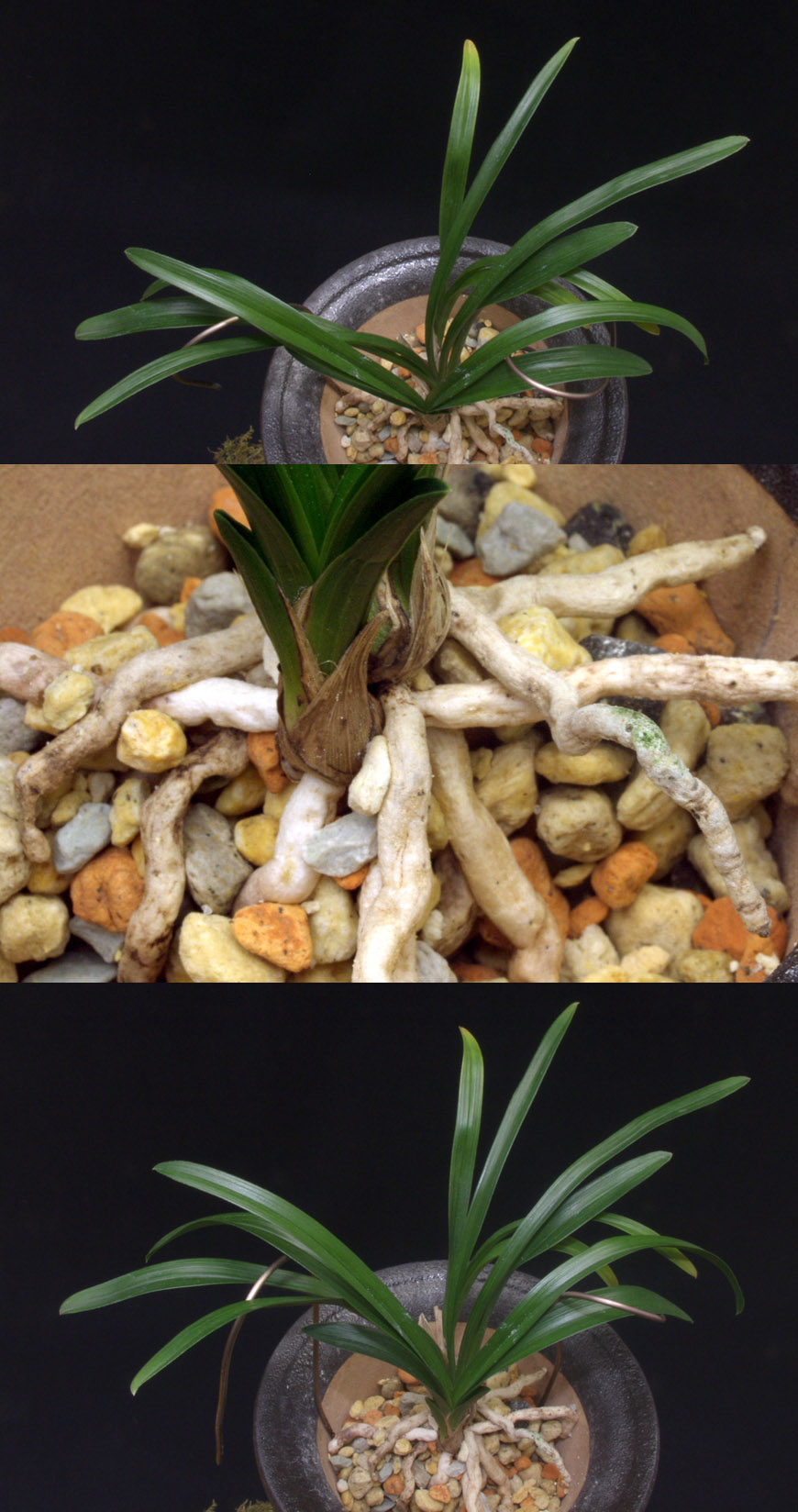 ������ ū������ �� �� �ֽ��ϴ�.