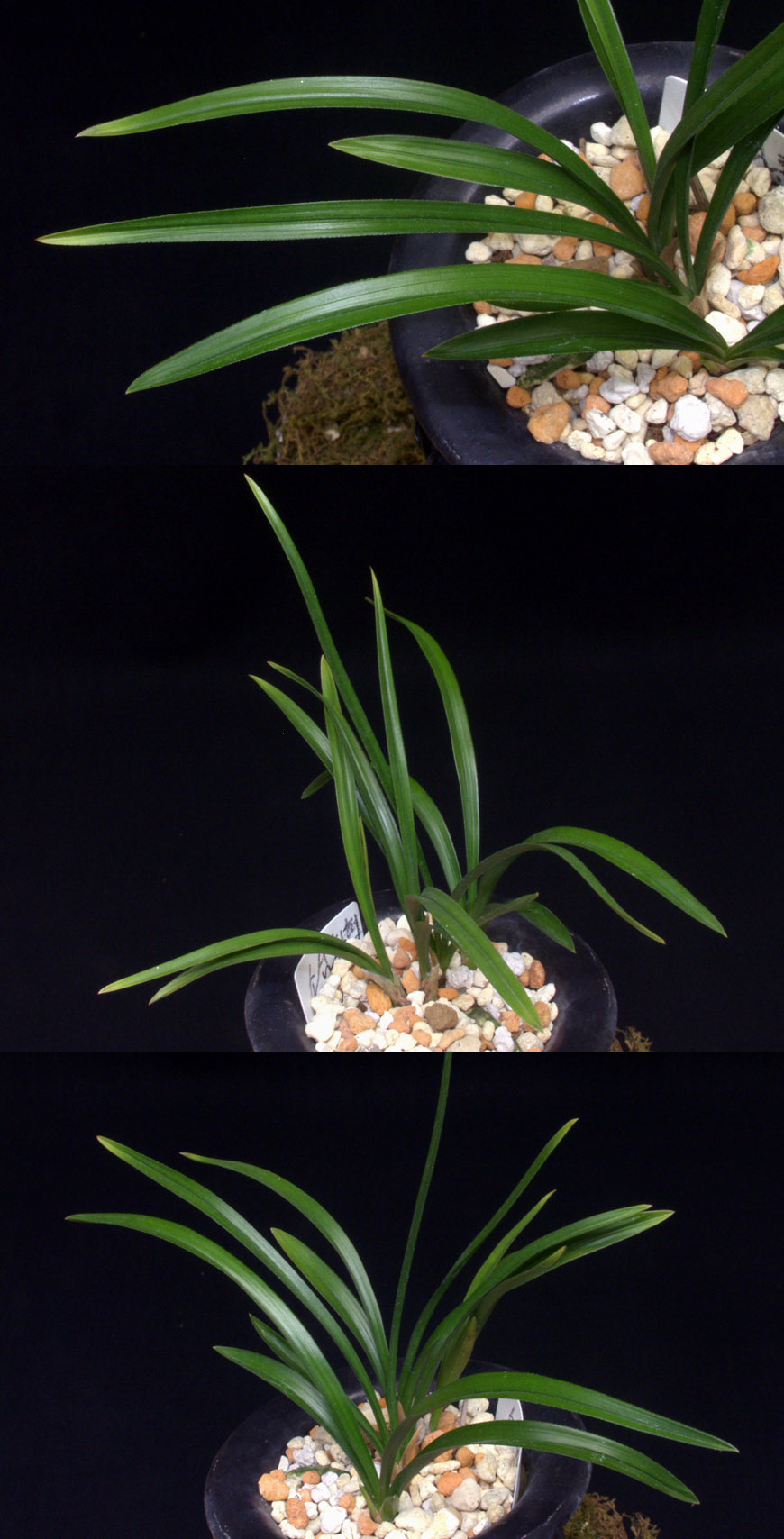 ������ ū������ �� �� �ֽ��ϴ�.