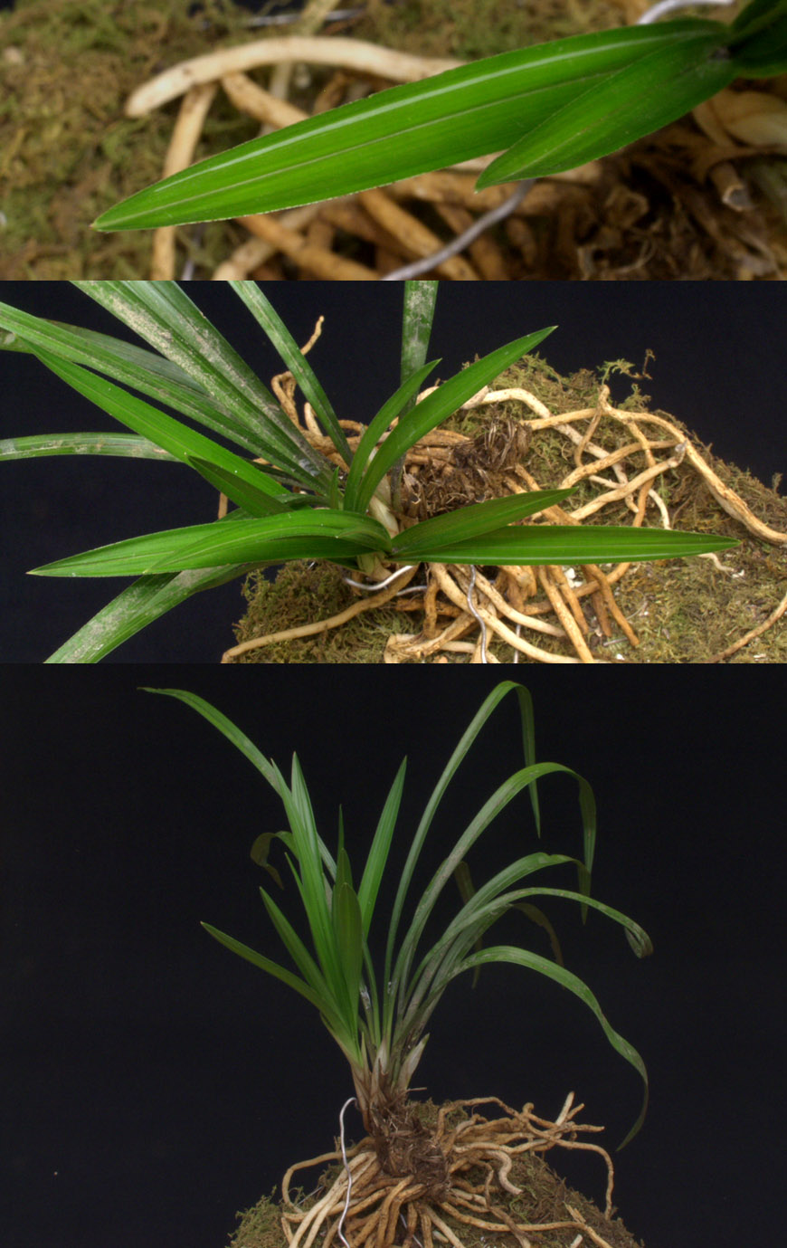 ������ ū������ �� �� �ֽ��ϴ�.