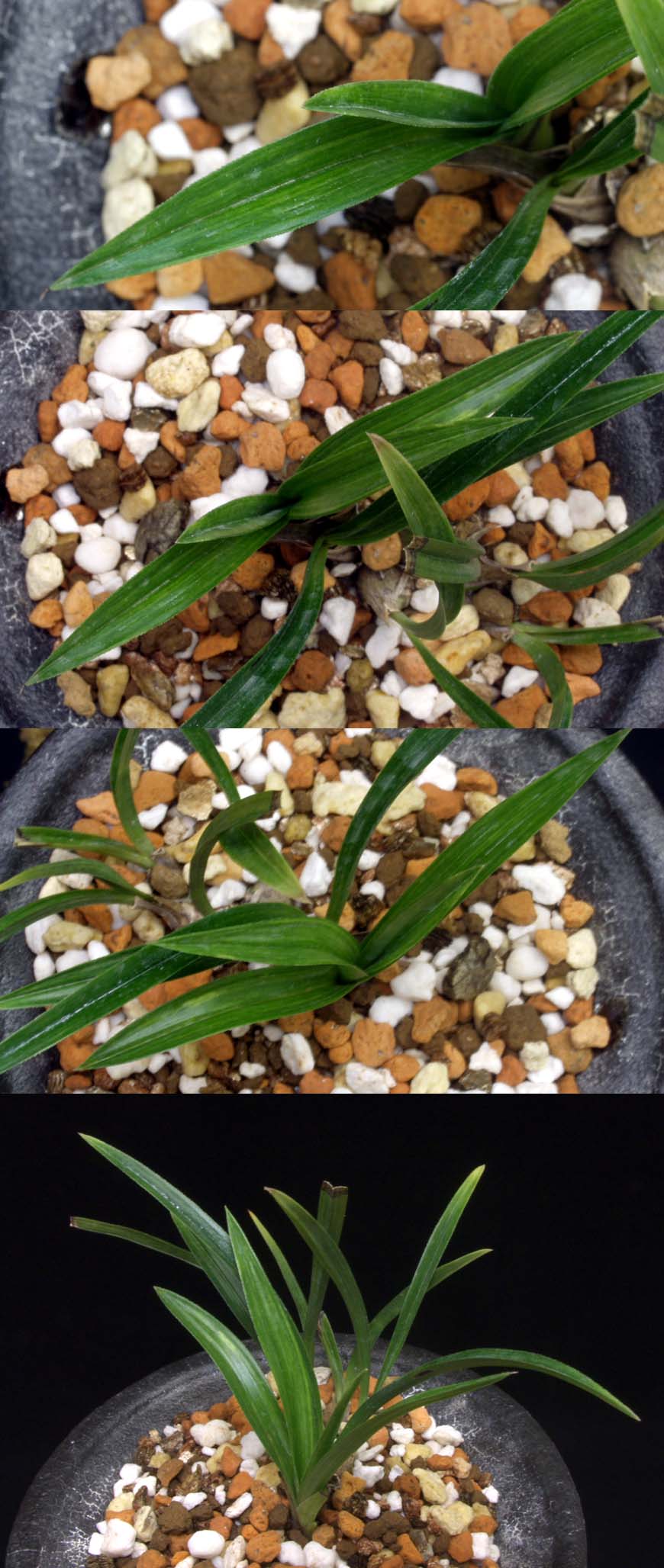 ������ ū������ �� �� �ֽ��ϴ�.