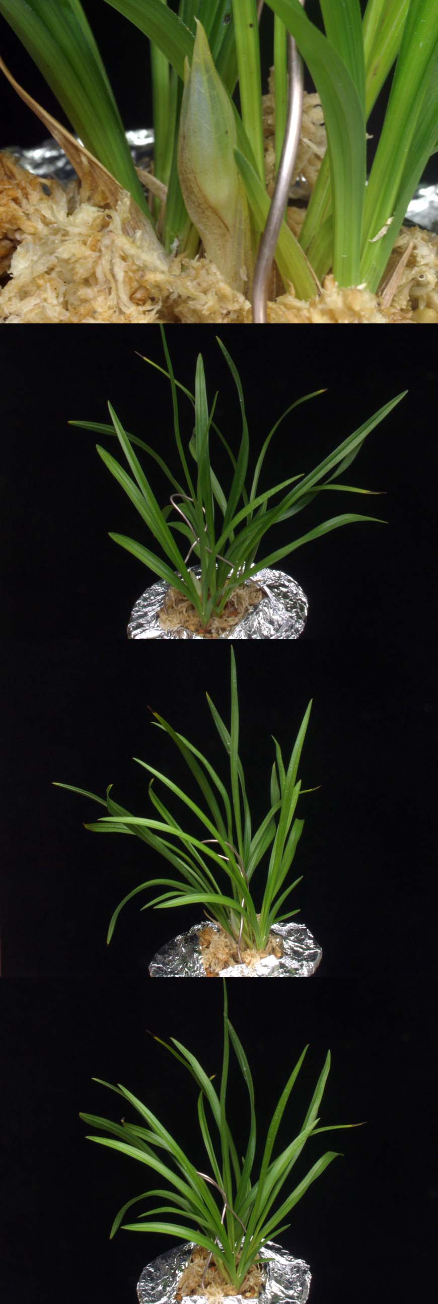 ������ ū������ �� �� �ֽ��ϴ�.