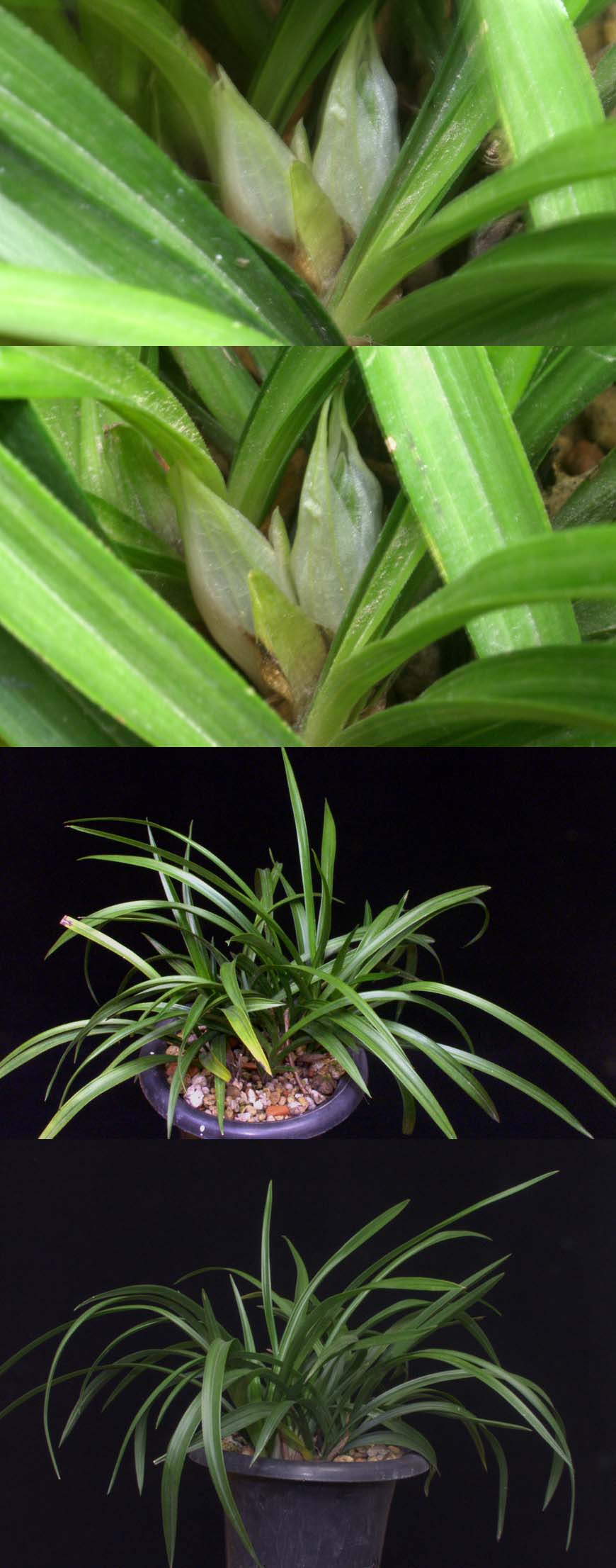 ������ ū������ �� �� �ֽ��ϴ�.