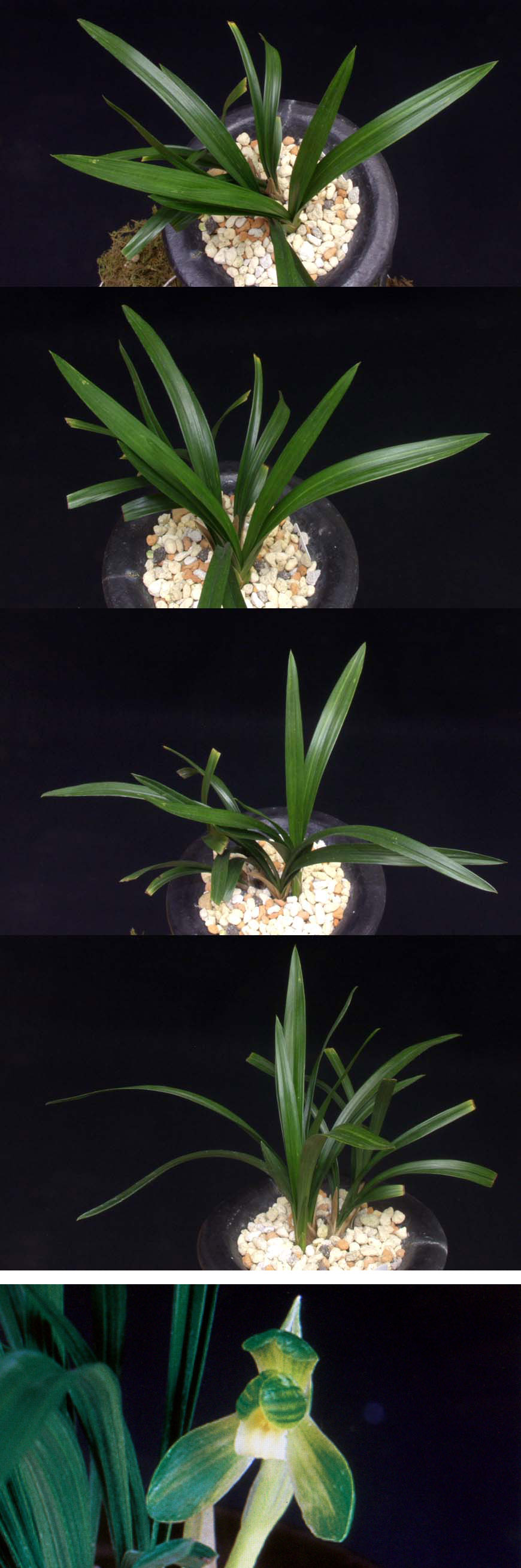 ������ ū������ �� �� �ֽ��ϴ�.