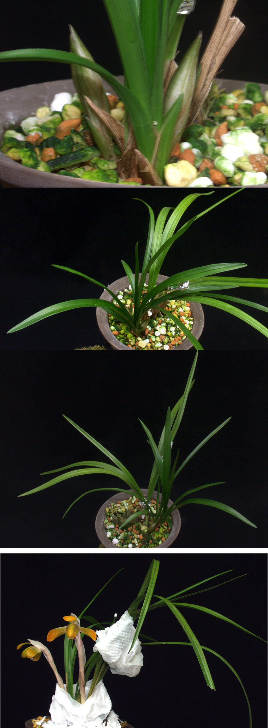 ������ ū������ �� �� �ֽ��ϴ�.