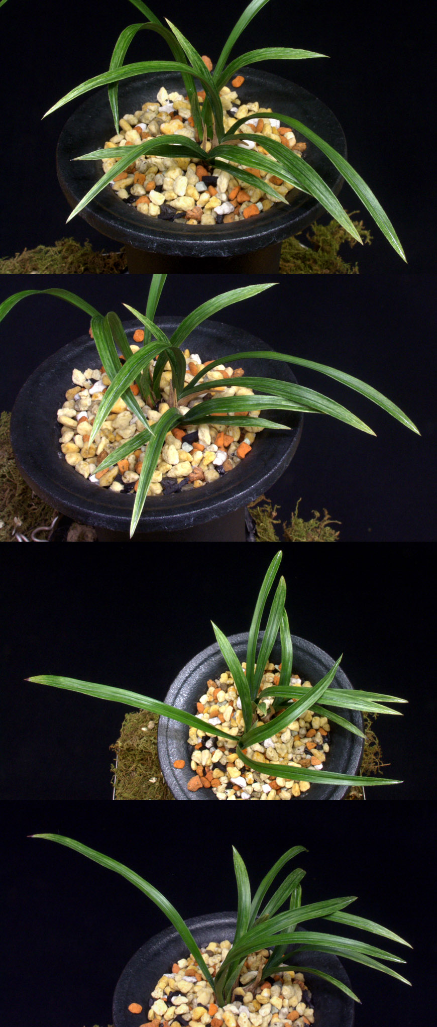 ������ ū������ �� �� �ֽ��ϴ�.