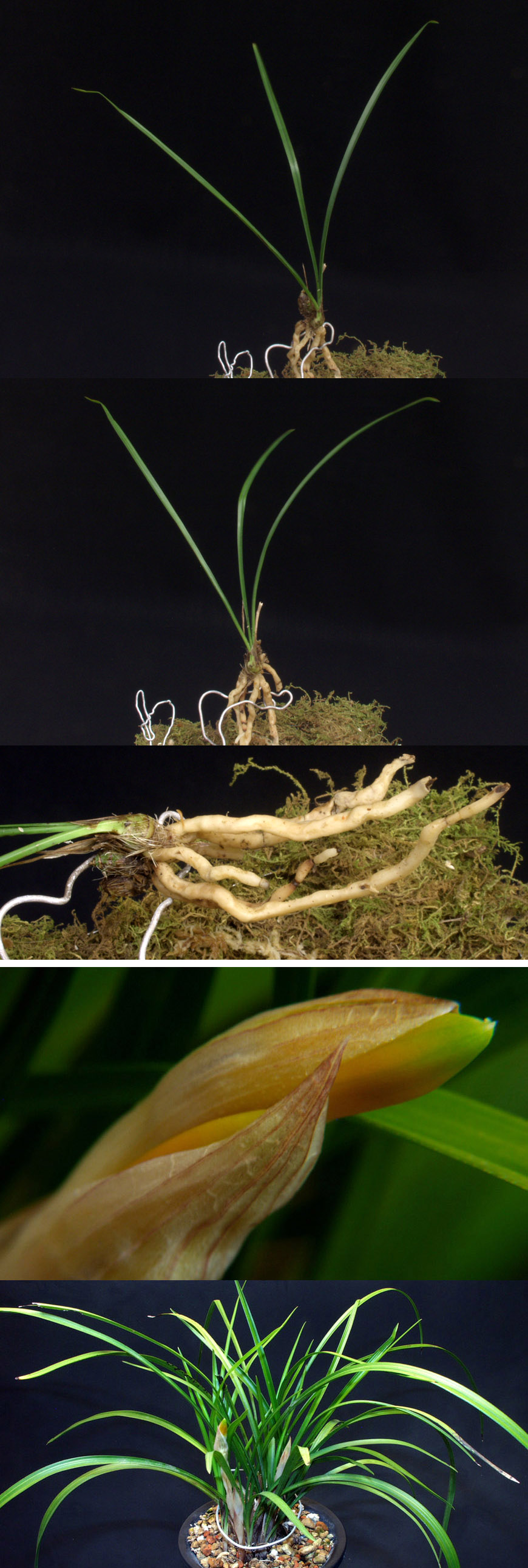 ������ ū������ �� �� �ֽ��ϴ�.