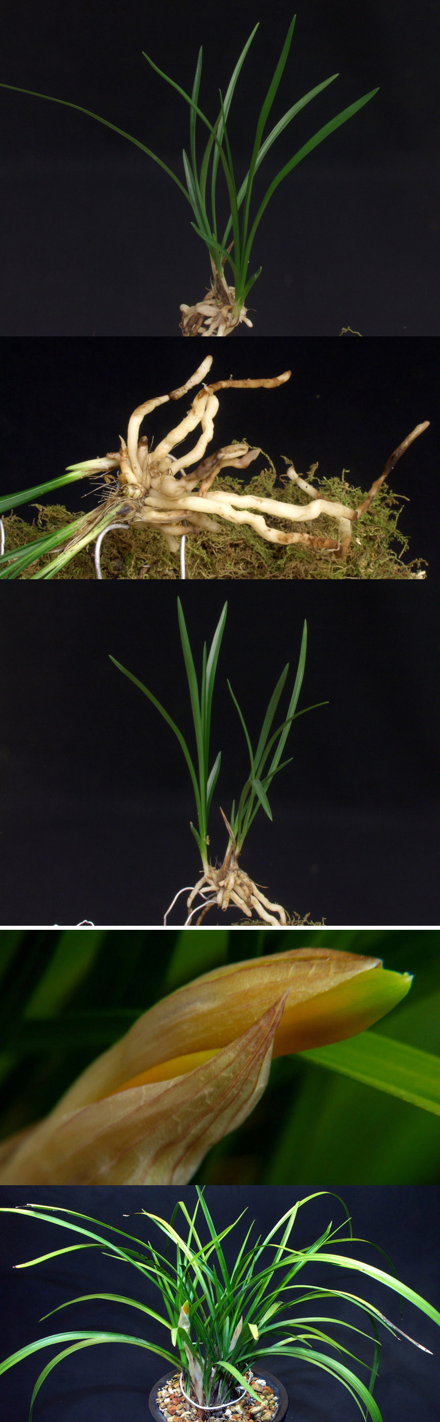 ������ ū������ �� �� �ֽ��ϴ�.