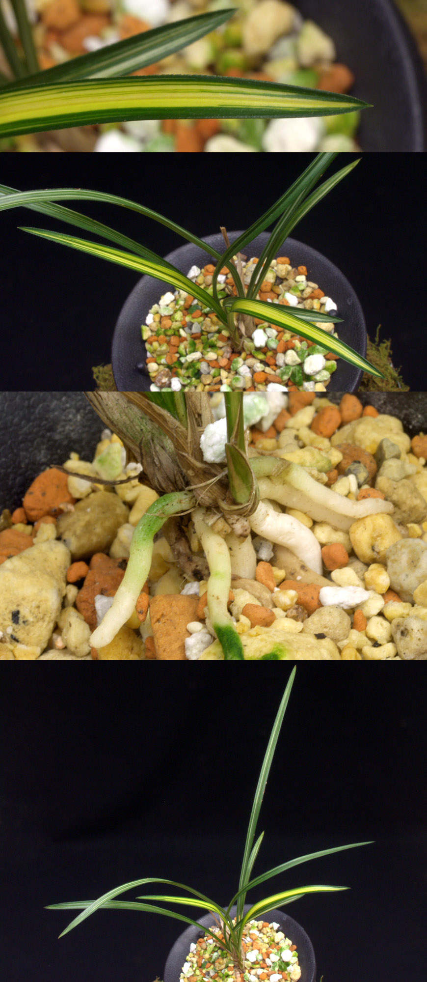 ������ ū������ �� �� �ֽ��ϴ�.