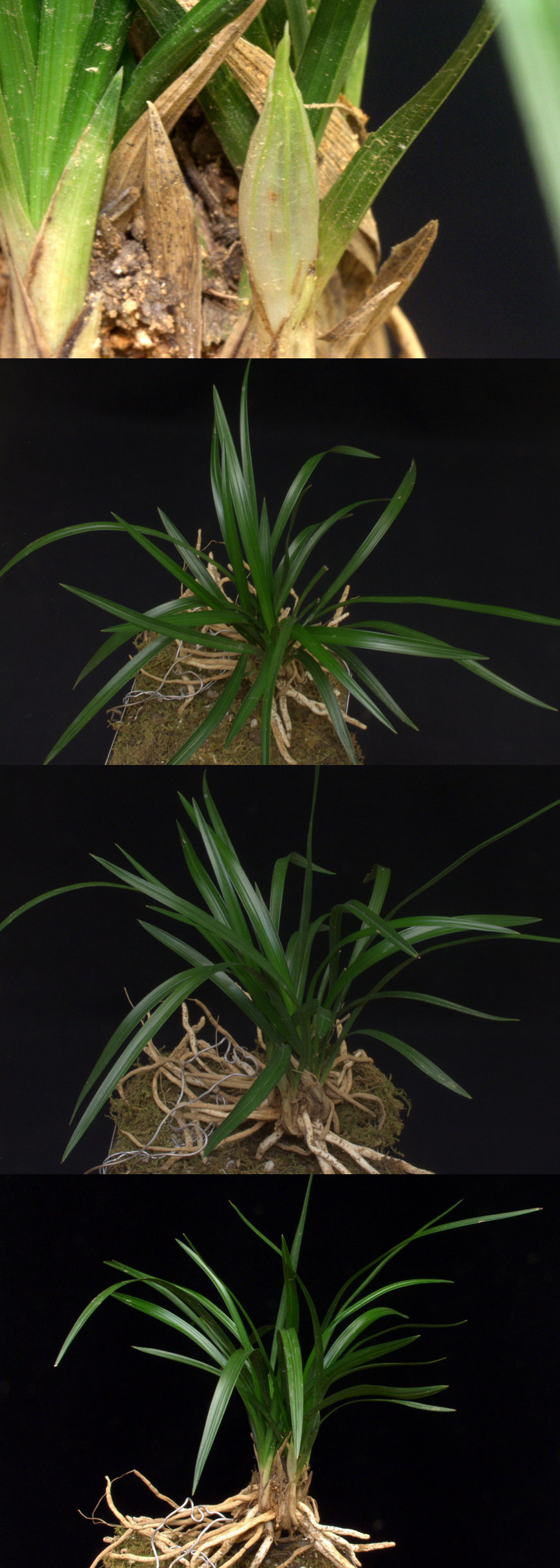 ������ ū������ �� �� �ֽ��ϴ�.