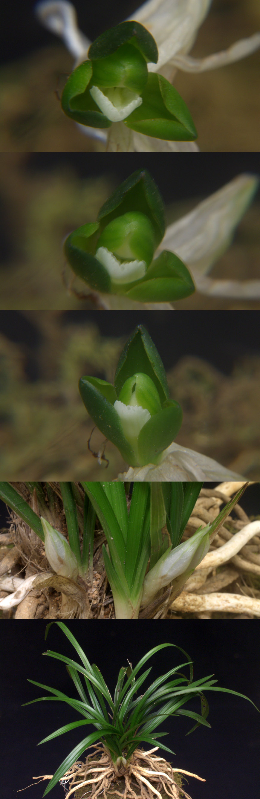 ������ ū������ �� �� �ֽ��ϴ�.