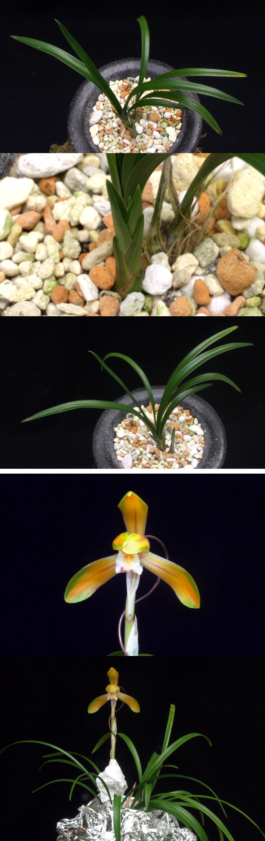 ������ ū������ �� �� �ֽ��ϴ�.