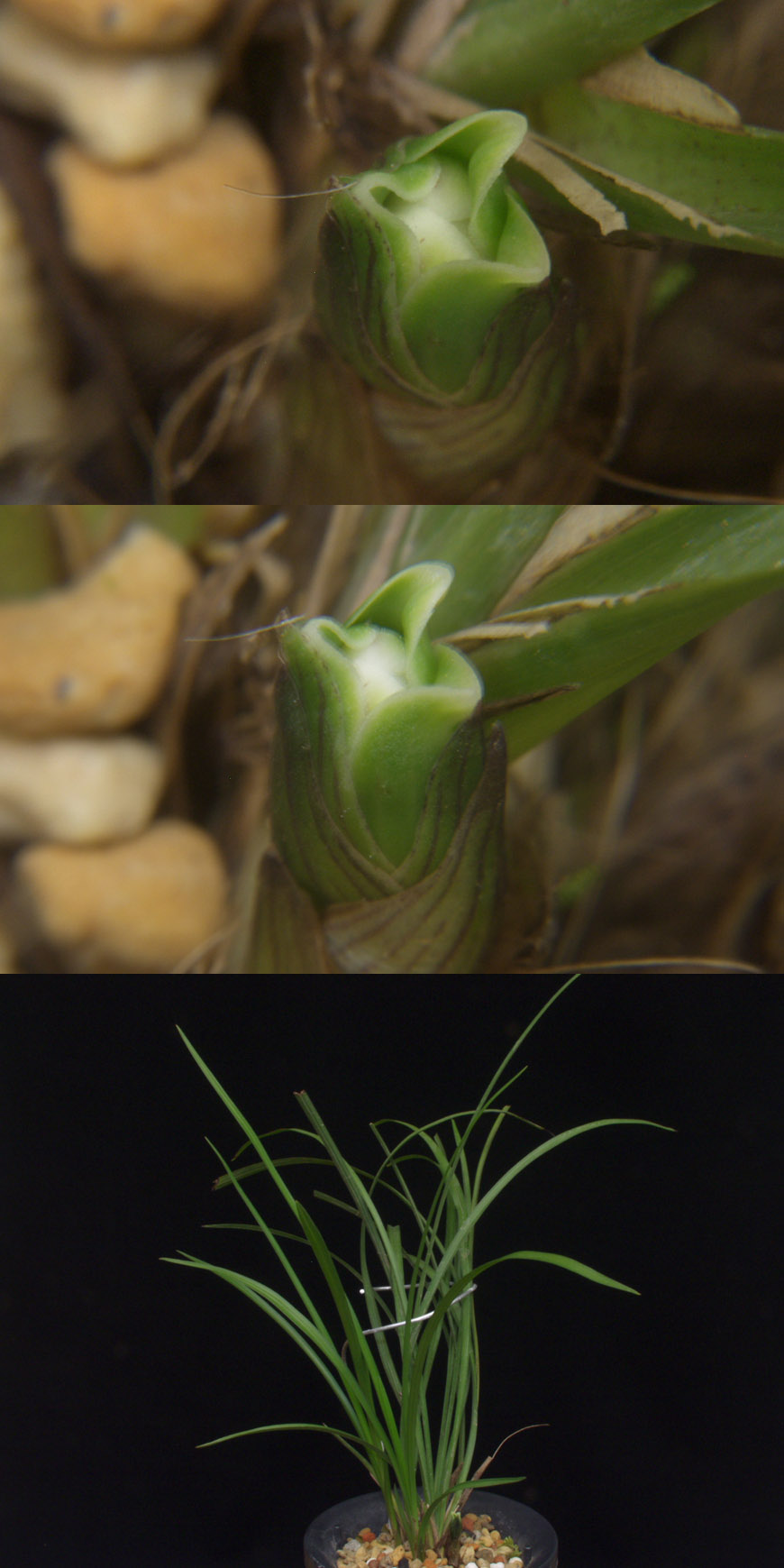 ������ ū������ �� �� �ֽ��ϴ�.