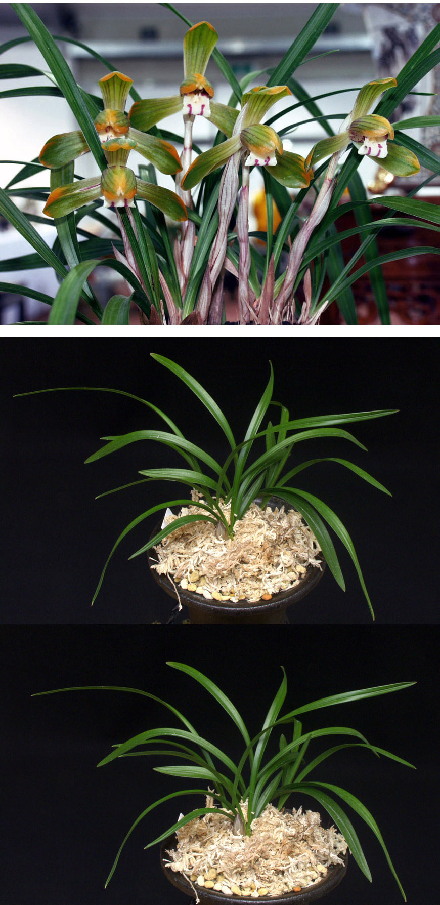 ������ ū������ �� �� �ֽ��ϴ�.