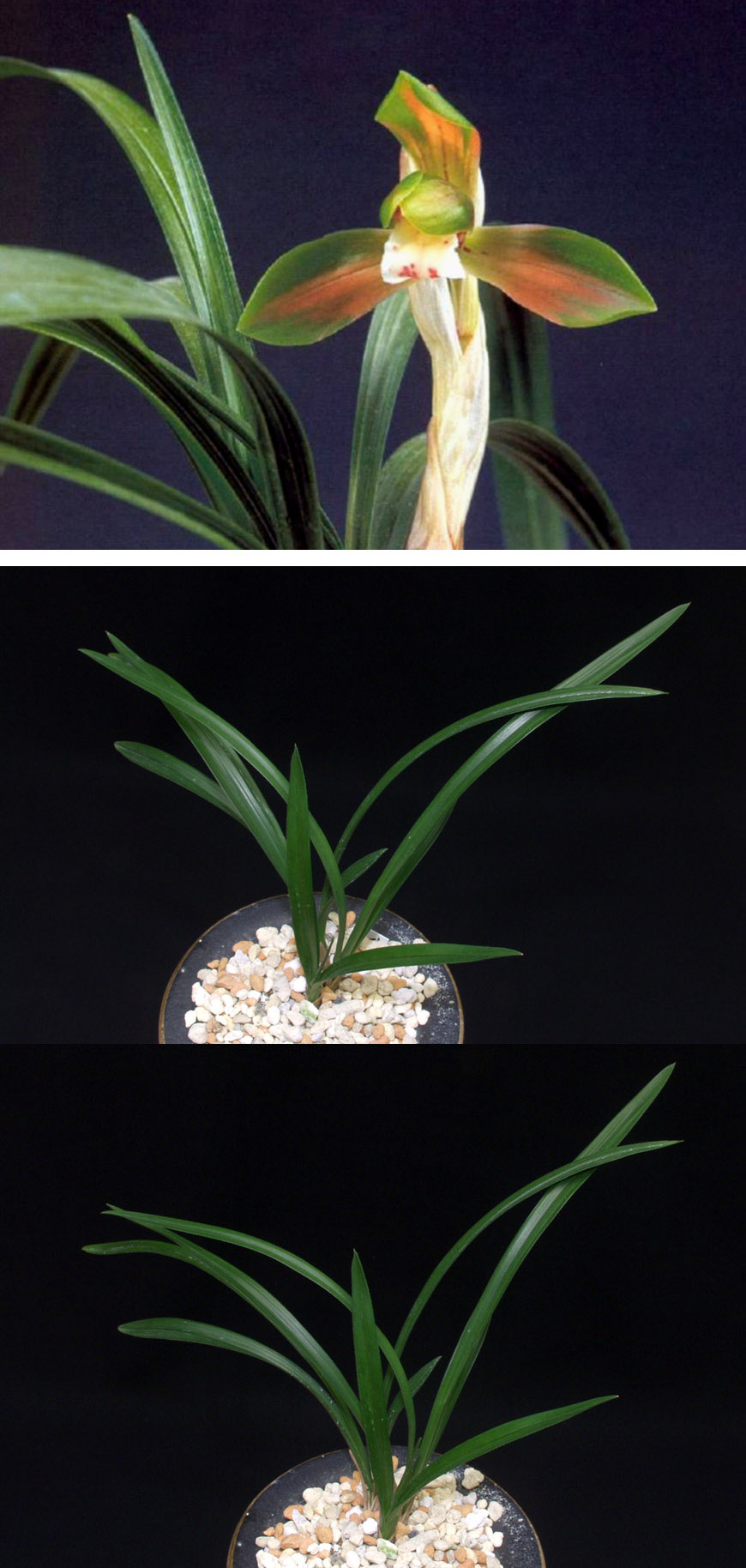 ������ ū������ �� �� �ֽ��ϴ�.