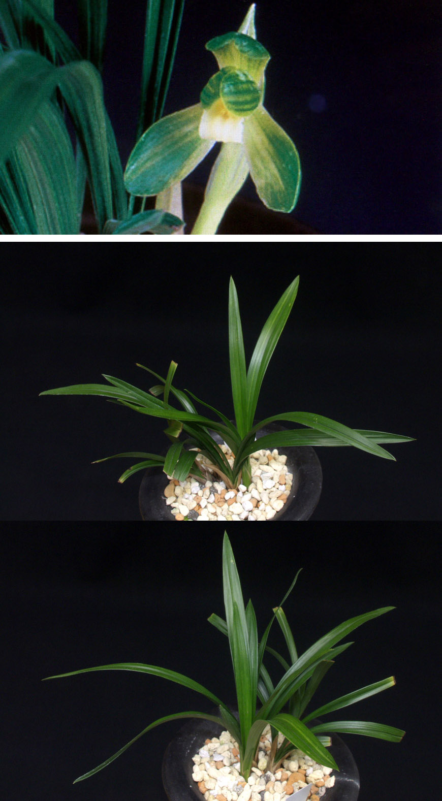 ������ ū������ �� �� �ֽ��ϴ�.