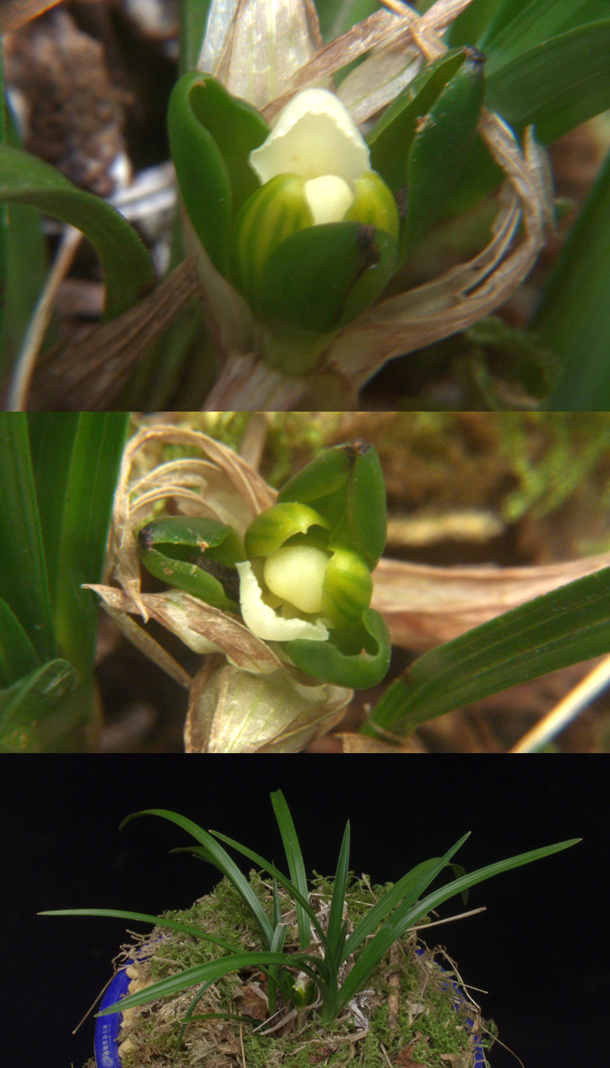 ������ ū������ �� �� �ֽ��ϴ�.