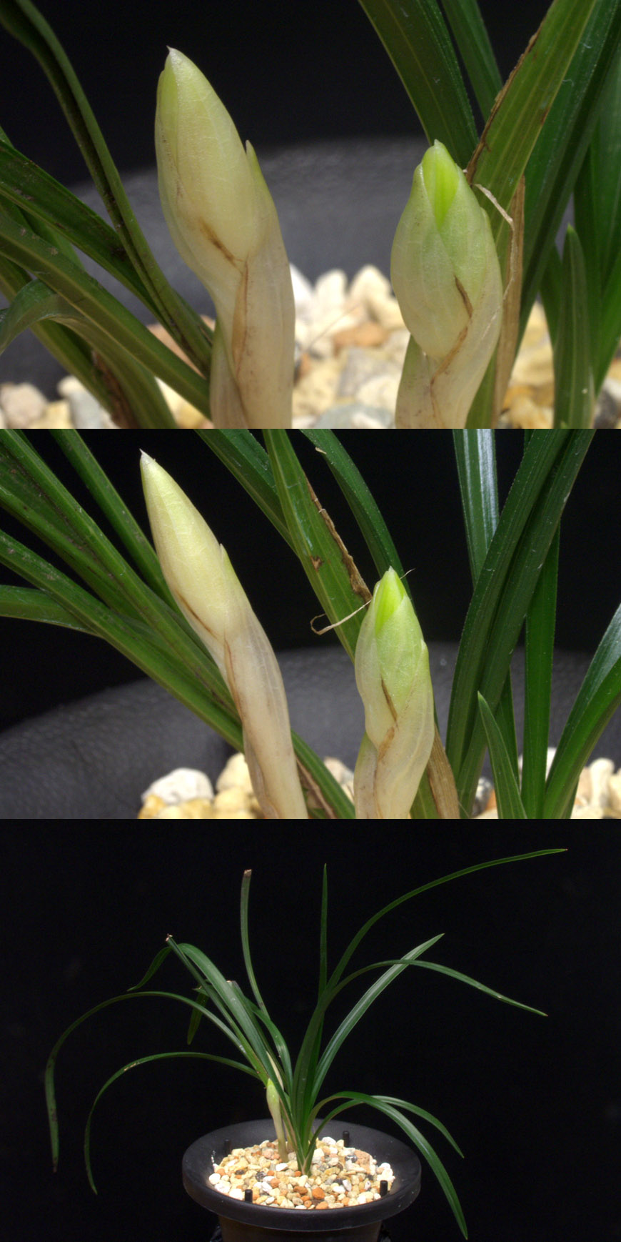 ������ ū������ �� �� �ֽ��ϴ�.