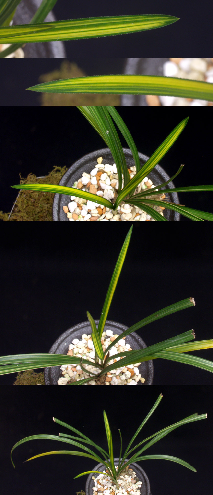 ������ ū������ �� �� �ֽ��ϴ�.