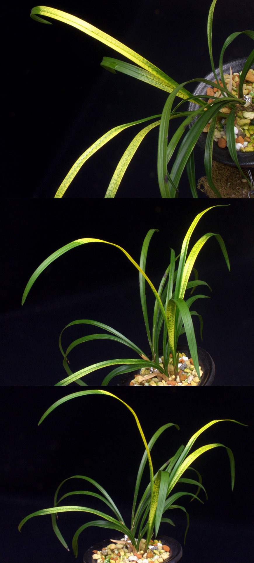 ������ ū������ �� �� �ֽ��ϴ�.