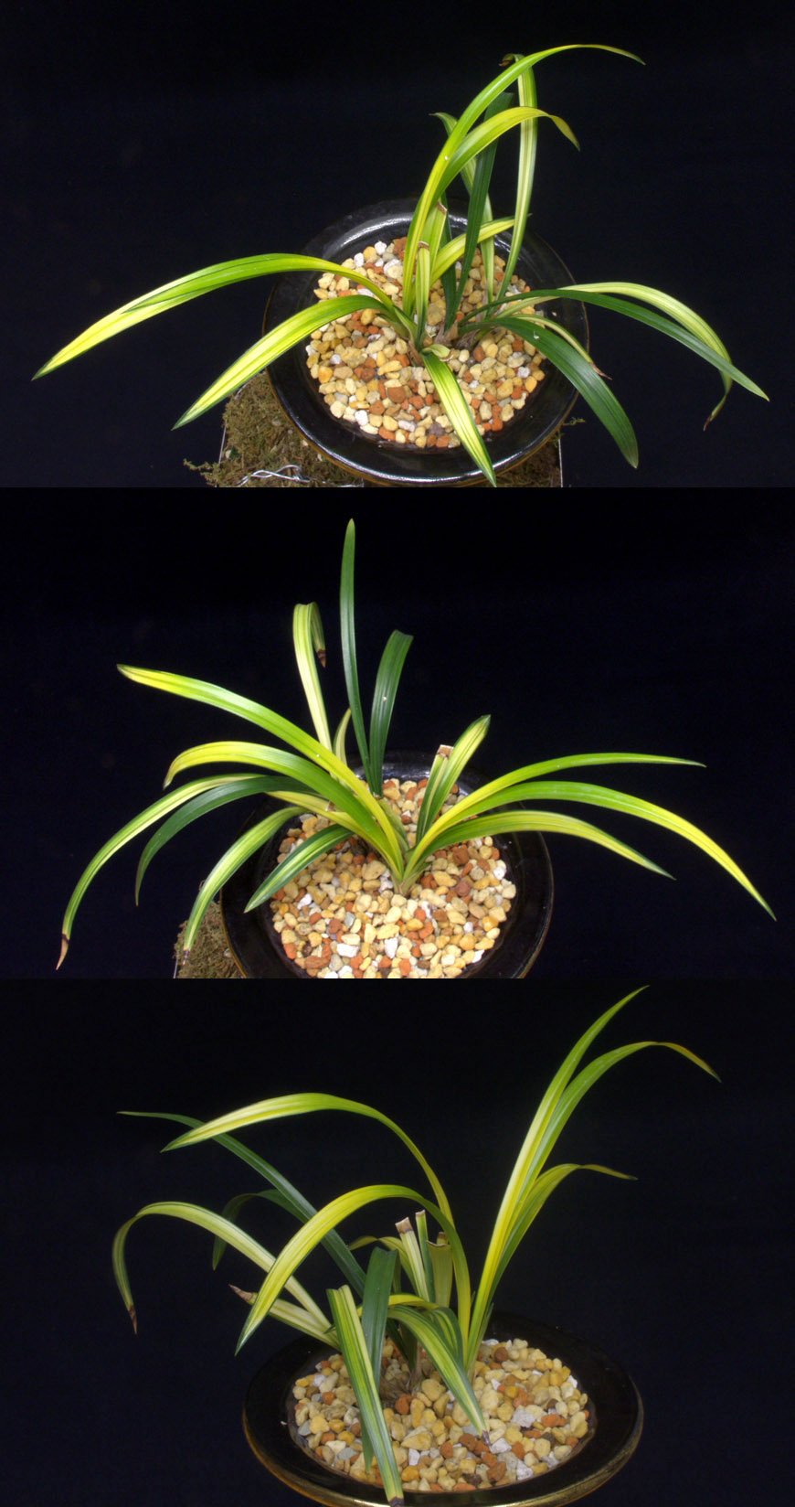 ������ ū������ �� �� �ֽ��ϴ�.