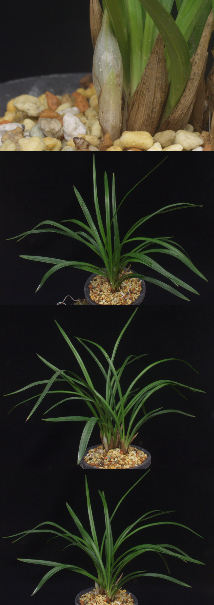 ������ ū������ �� �� �ֽ��ϴ�.