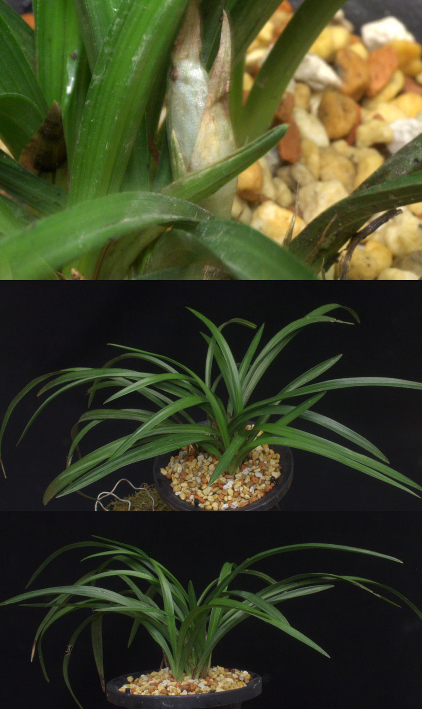 ������ ū������ �� �� �ֽ��ϴ�.