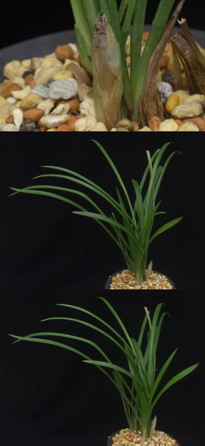 ������ ū������ �� �� �ֽ��ϴ�.