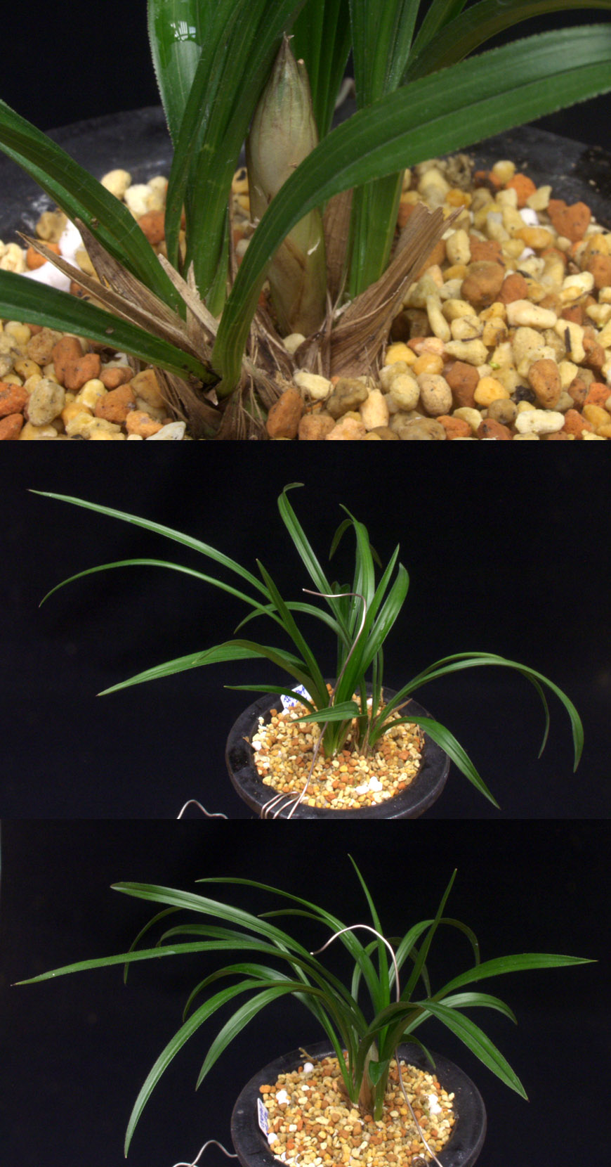 ������ ū������ �� �� �ֽ��ϴ�.