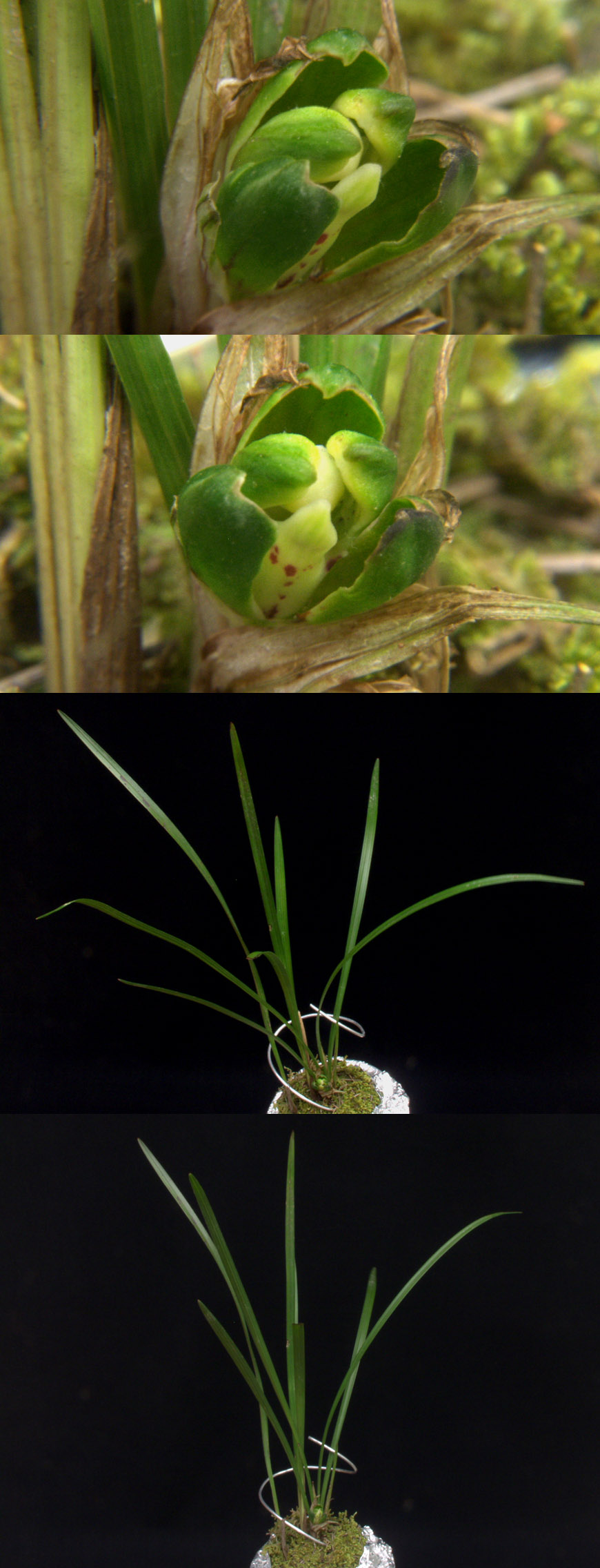 ������ ū������ �� �� �ֽ��ϴ�.