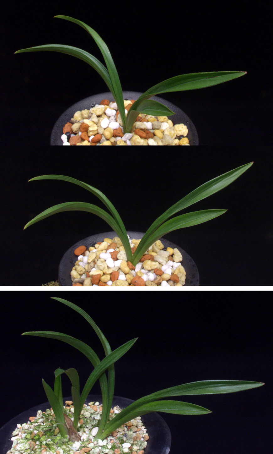 ������ ū������ �� �� �ֽ��ϴ�.