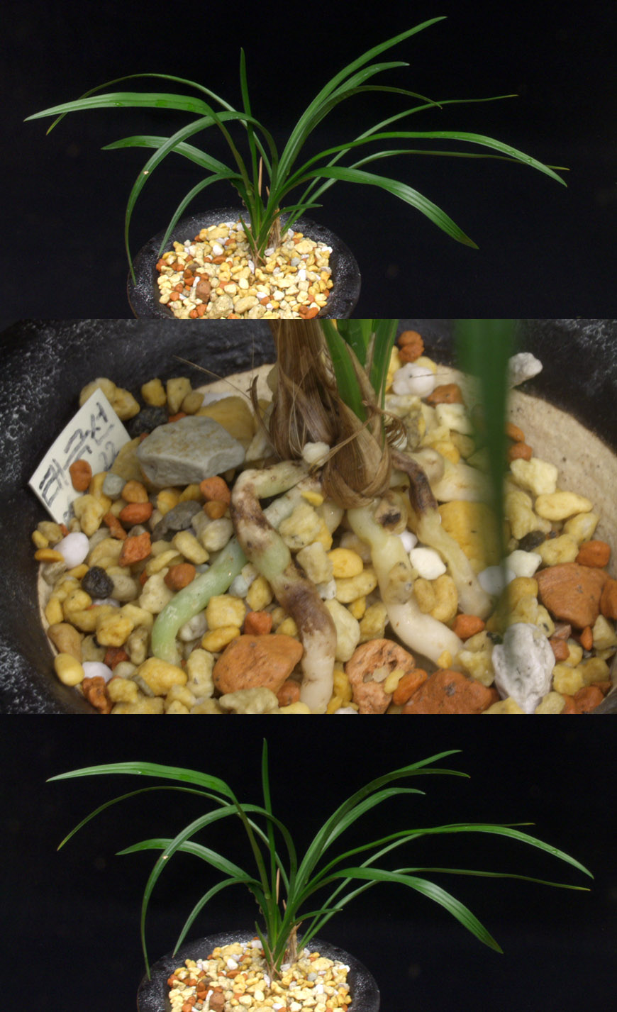 ������ ū������ �� �� �ֽ��ϴ�.