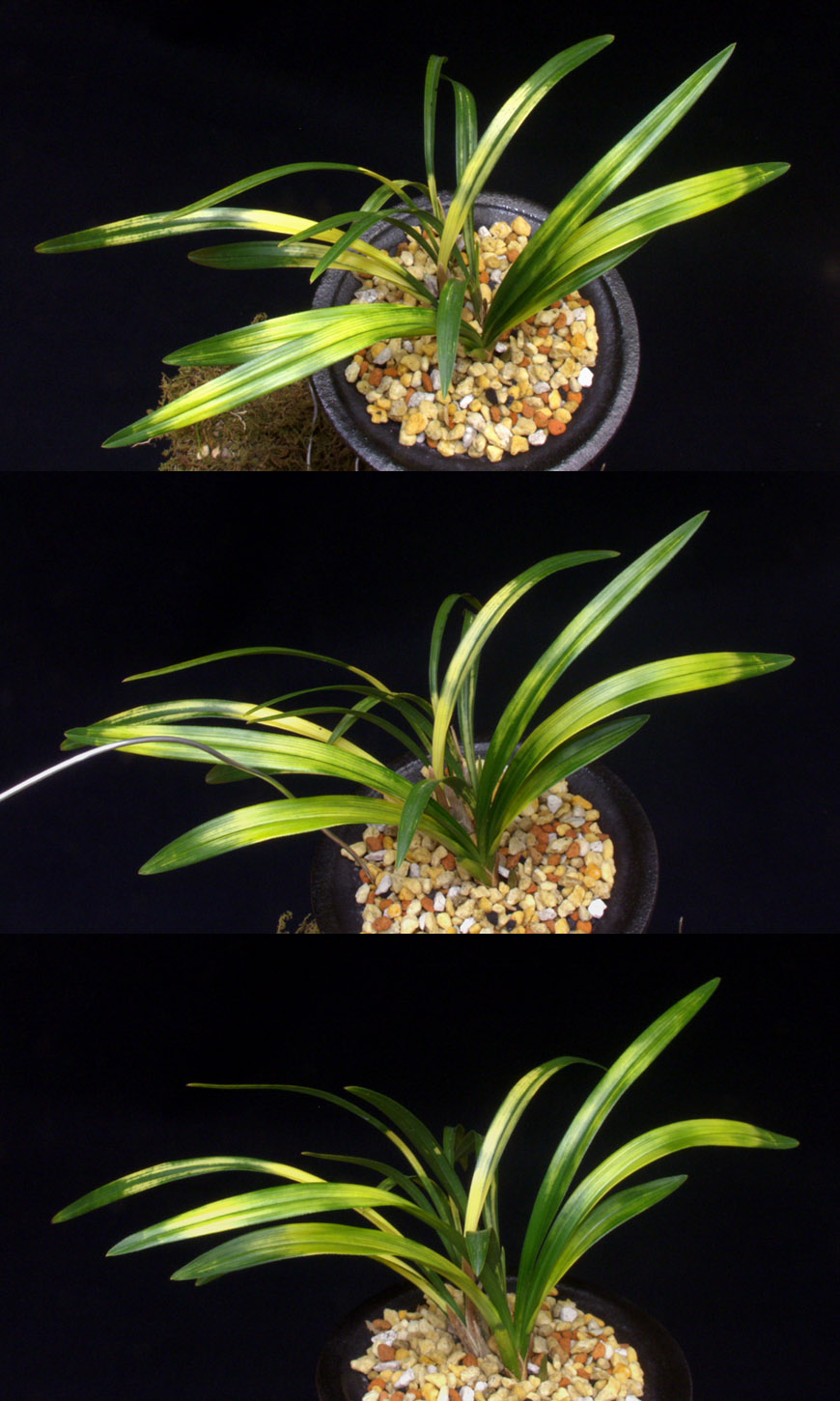 ������ ū������ �� �� �ֽ��ϴ�.